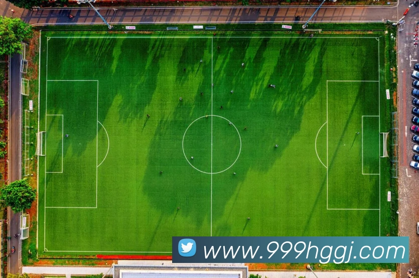 皇冠国际hg平台生态图