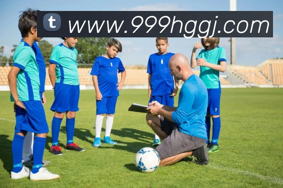 皇冠国际hg全站App